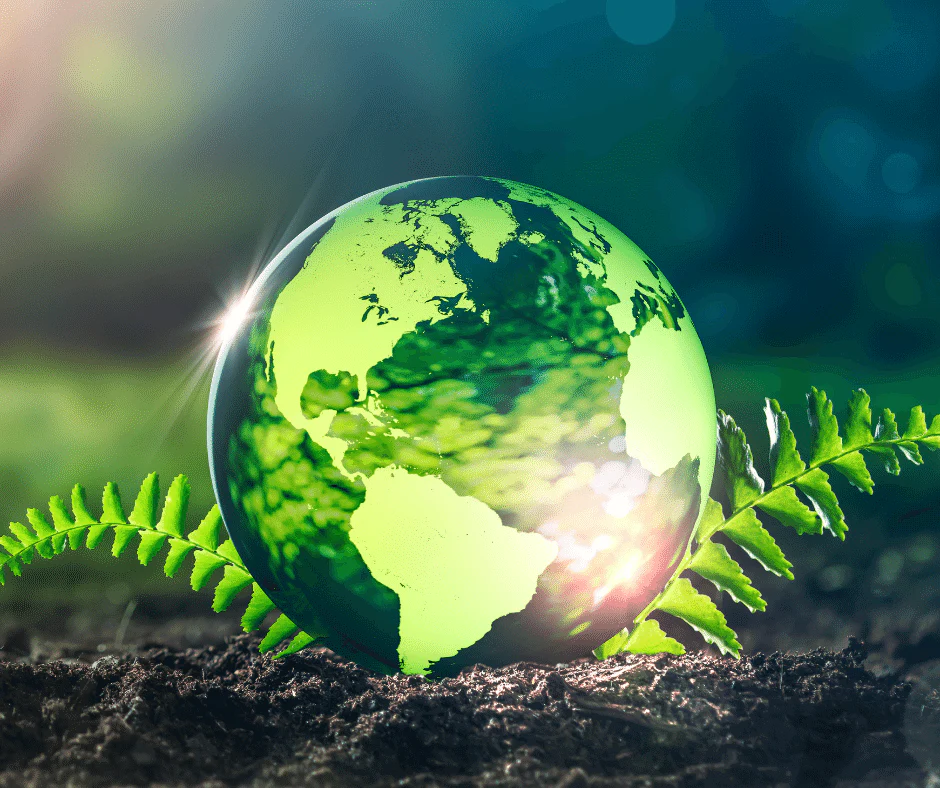 Environmental Impact of Disposable E-Cigarettes